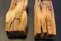 Дефекты древесины